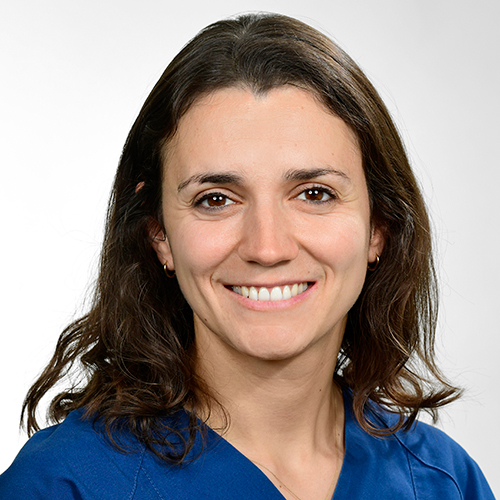 Vera Schieting team photo